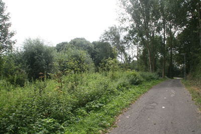 Foto 178 uit StratenBEVERWAARD