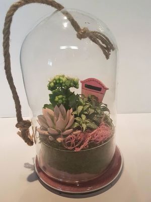 Foto 18 uit NeelyshaBloemen