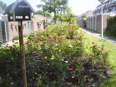 Foto 44 uit opzomeren 2005