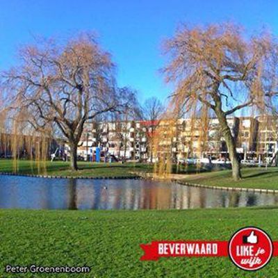 Foto 264 uit LIKEJEWIJK FOTO'S_2