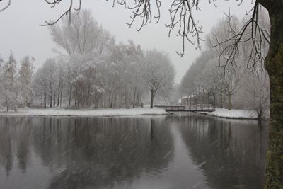 Foto 34 uit WinterIn Beverwaard_2