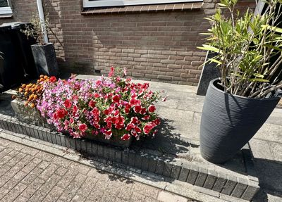 Foto 372 uit Rondje Beverwaard 2026