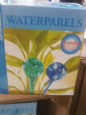 Foto 54 uit NeelyshaBloemen