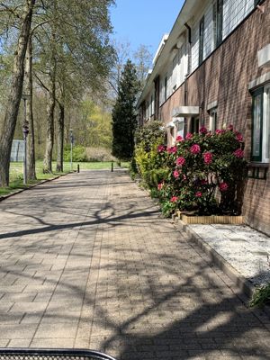 Foto 481 uit Rondje Beverwaard 2026