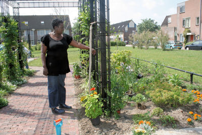 Foto 13 uit Tropische Tuin12_6