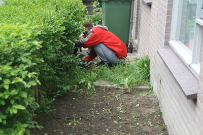 Foto 20 uit Schoonmaakdag29-4