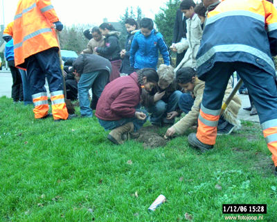 Foto 116 uit bloembollen planten