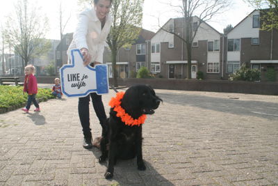 Foto 112 uit Koningsdag24-04-15