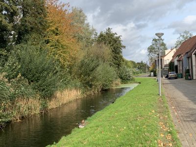 Foto 443 uit Rondje Beverwaard 2026