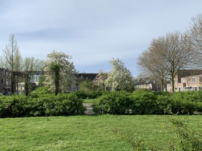 Foto 140 uit Rondje Beverwaard 2026