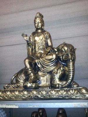 Foto 97 uit NeelyshaBloemen