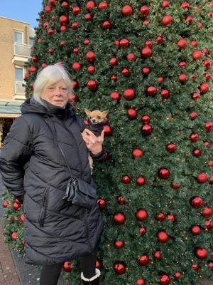 Foto 12 uit Grote Kerstboom WC