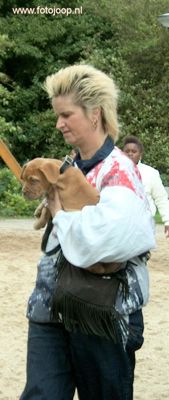 wie herkend de foto_