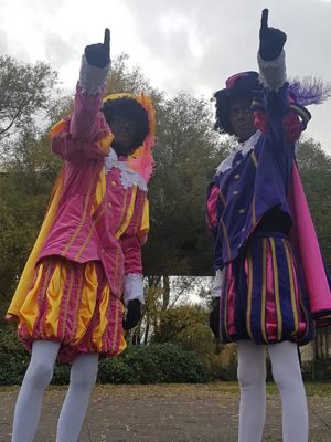 Foto 8 uit SinthuisBeverwaard