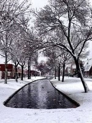 X- Sneeuw in de Beverwaard 2026
