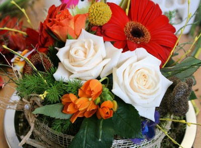 Foto 82 uit Rkregenboog25_3_09