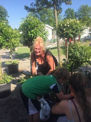 Foto 2 uit VrolijkSevenaerstraat