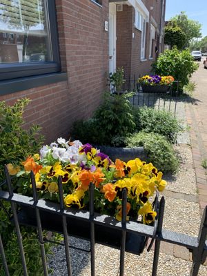 Foto 111 uit Rondje Beverwaard 2026