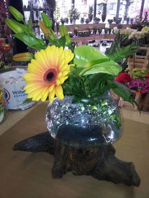 Foto 341 uit NeelyshaBloemen