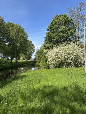 Foto 224 uit Rondje Beverwaard 2026