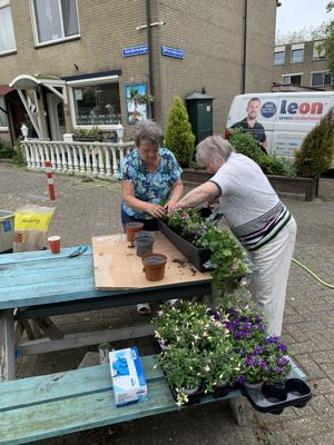 Foto 21 uit PlantenAlerdincksingel