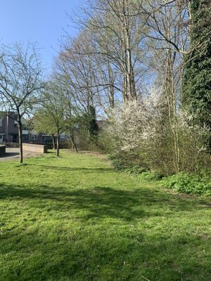 Foto 5 uit Lente En Zomer 2022