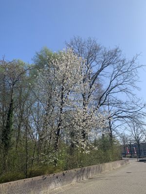 Foto 12 uit Lente En Zomer 2022