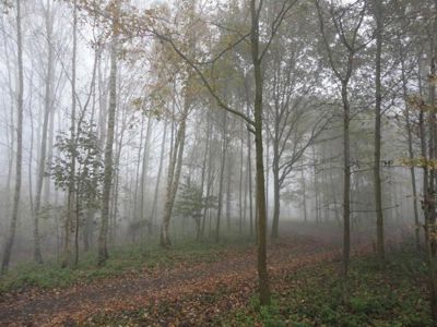 Foto 51 uit StratenBEVERWAARD