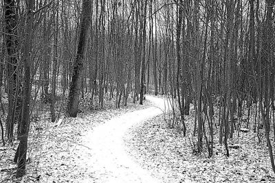 Foto 5 uit WinterIn Beverwaard