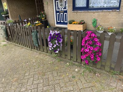 Foto 45 uit Rondje Beverwaard 2026