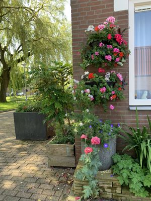 Foto 318 uit Rondje Beverwaard 2026