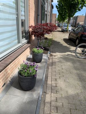 Foto 20 uit Rondje Beverwaard 2026