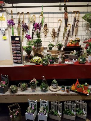 Foto 9 uit NeelyshaNieuweZaak