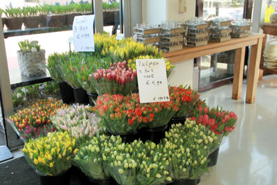 Foto 225 uit WINKELSBeverwaard