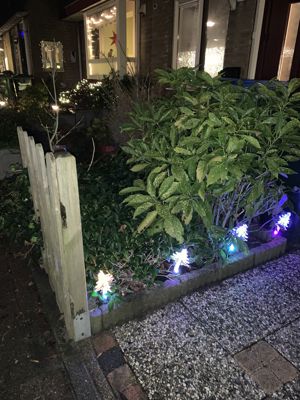 Foto 69 uit Kerst2020Beverwaard