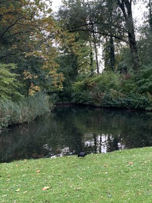 Foto 396 uit Rondje Beverwaard 2026