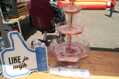 Foto 29 uit Opzoomeren30-5-15