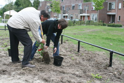 Foto 47 uit Tropische Buurttuin