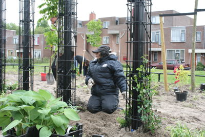 Foto 45 uit Tropische Buurttuin