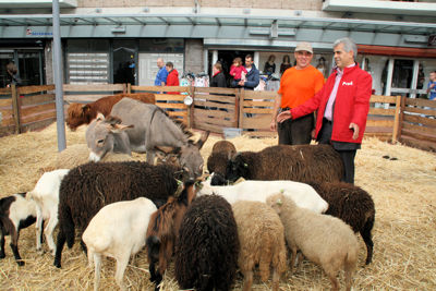 Foto 78 uit LikeJeWijkfeest14-9