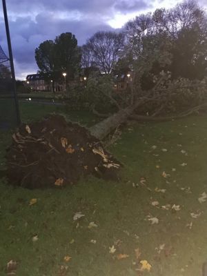 Foto 393 uit Rondje Beverwaard 2026