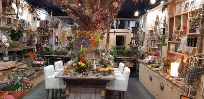 Foto 7 uit WorkShop Chantal