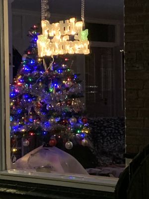 Foto 22 uit Kerst2020Beverwaard