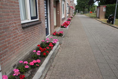 Foto 10 uit MooisUitBeverwaard