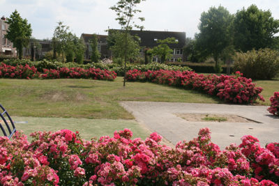 Foto 232 uit TropischeTuin 2017