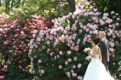 Foto 125 uit Bruiloft-Beverwaard