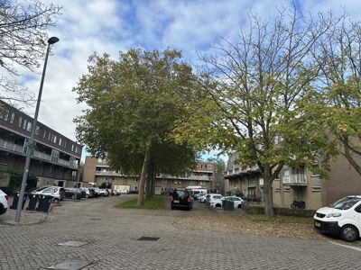 Foto 43 uit X-Herfst Verschillende jaren  2026