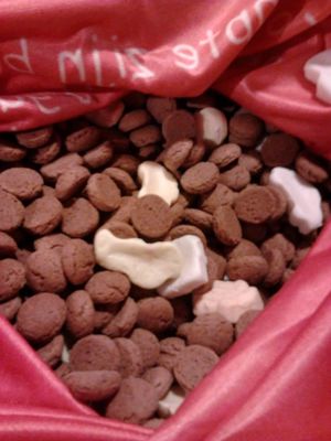 Foto 11 uit SintEnPieten Focus