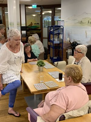 Foto 29 uit GROTE BINGO23-4