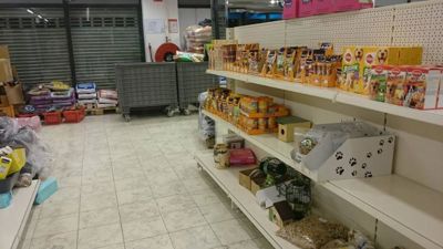 Foto 14 uit Dieren Zaak Catdox